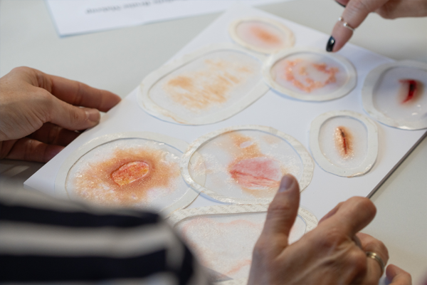 IMEX network: visit to the IML Bern